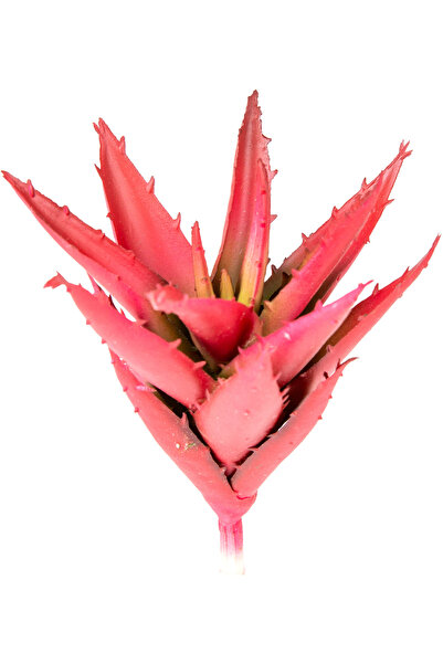 Herdekora Yapay Kaktüs Sukulent Kırmızı 15 Cm