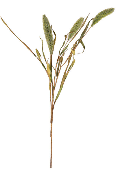 Herdekora Yapay Bitki Setaria Pamuk (Kirpi Darı) Yeşil 90 Cm.