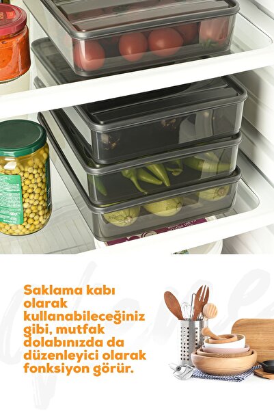 Vienev 4lü Bella Buzdolabı Düzenleyici Saklama Kabı Büyük Boy