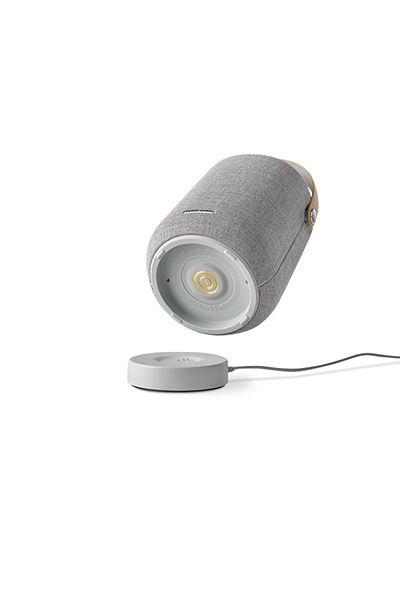 Harman Kardon Citation 200 Portable Smart Speaker - Gray, Hd Sound Quality