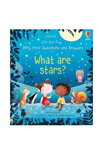 Usborne What Are Stars Lift The Flap Very First Questions