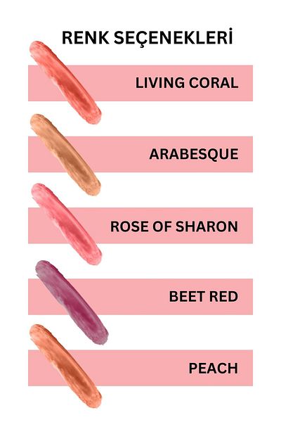 REVA Peach/Lip Cheek Eye Tint - Multipurpose, Coloring Stick, Vegan & Clean Content Rv111