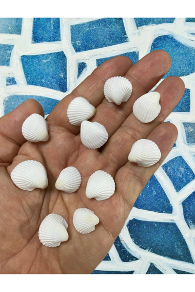 Flea Market Истинска мида - Малък бял лебед - Несчупена - (50 г, приблизителн...