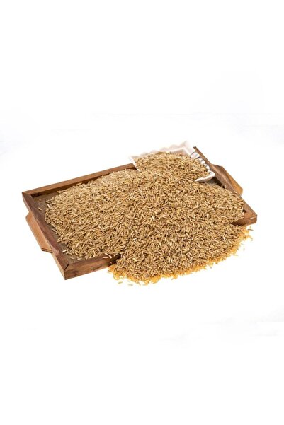 HKBAKLİYAT YEM TOHUM Soyulmuş Yulaf Içi 1 Kg
