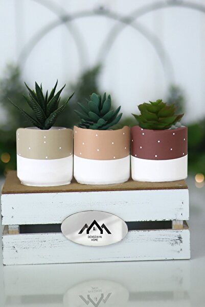 Genel Markalar Renkli Sukulent Ve Kaktüs Saksısı