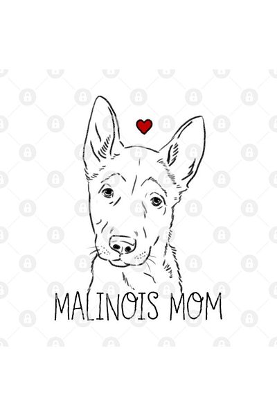 TatFast Belgian Malinois Mug - for Gift, Dowry and Presentation