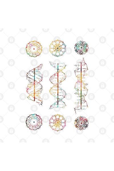 TatFast كوب A-, B-, And Z-DNA، هدية، مهر، حامل عرض