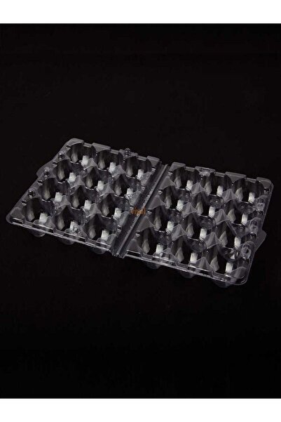 KARAHİSAR KULUÇKA Bıldırcın Yumurtası Viyolü (100 ADET)