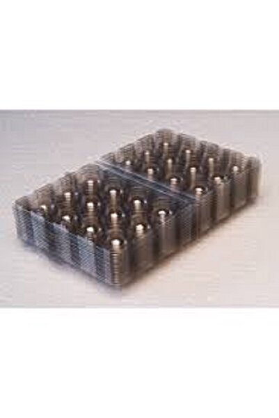 KARAHİSAR KULUÇKA Bıldırcın Yumurtası Viyolü (100 ADET)