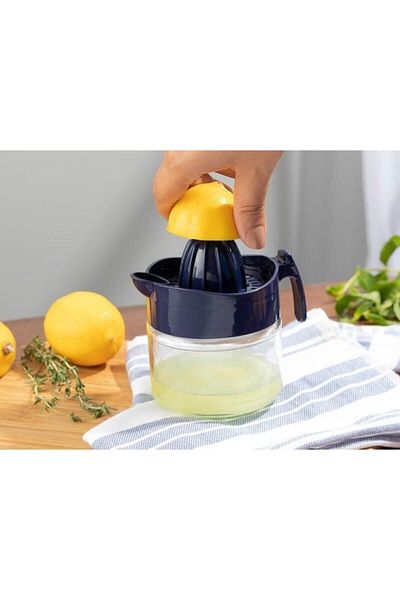 Hane216 Dizayn Home Hera Glass Lemon Juicer 300 Ml