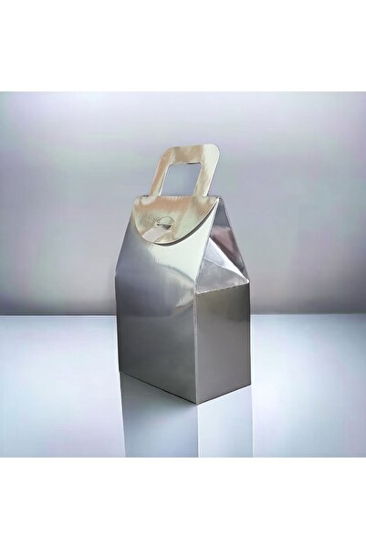 BOXSTATION 15x10x5,5 Full Gümüş (Gri) Hediyelik Çanta 10 Adet