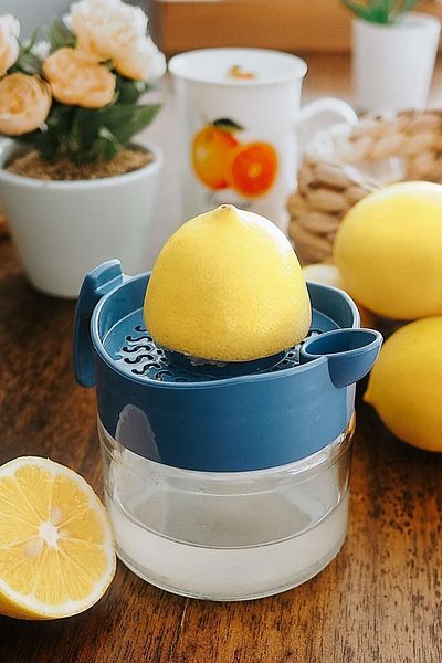 Titiz Plastik Glass Lemon Squeezer