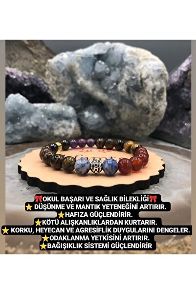 Nelleovana سوار نجاح المدرسة