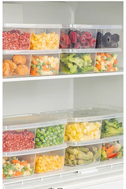 Hane216 5 قطع من حاوية تخزين اللحوم والخضروات المجمدة المكونة من قسمين بسعة 1...