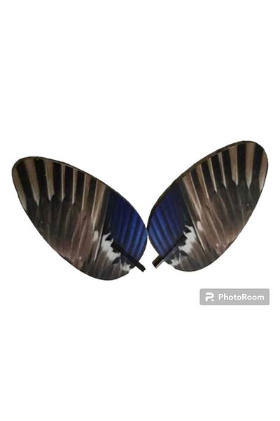 KRGZ 2020 Πάπια, Flicker και Mühre Wing