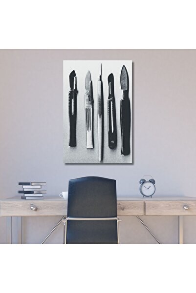 GAAGART Tekli Dikey Kanvas Cerrahi Poliklinik Tablosu Bistüri Seti