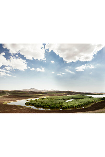 artoloji Mahmut Koyaş - Uyuz Gölü - 2017 - Dijital baskı, paspartu, beyaz ahş...