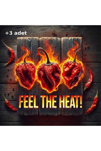 tohumcu kikizade 3 Adet Trinidad Moruga Scorpion Biberi Dünyanın En Acı 2.nci Biberi