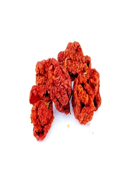 tohumcu kikizade 3 Adet Trinidad Moruga Scorpion Biberi Dünyanın En Acı 2.nci Biberi