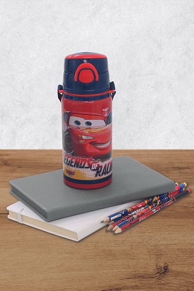 Frocx Cars Steel Flask Salto 500 ml Legend