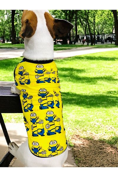 Angelapets Dog Clothing Dog Collar Set Dog Collar Dog Collar Dog Collar Dog Collar