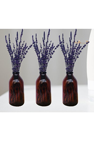 Juniberry 3lü Set Kahverengi Amber Küçük Cam Şişe Kavanoz 100ml Dekoratif Vaz...