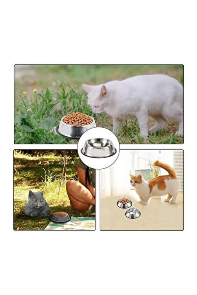 Duffa 2 Adet Paslanmaz Çelik Mama Ve Su Kabı, Alt Taban 16 Cm Kedi Mama Kabı Köpek Mama Kabı (250 ML-8 OZ)