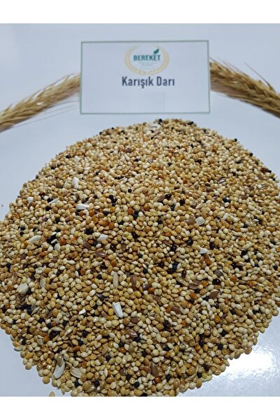 Bereketlimama Karışık Muhabbet Kuşu Yemi- Ekmeksiz- 10 Kg