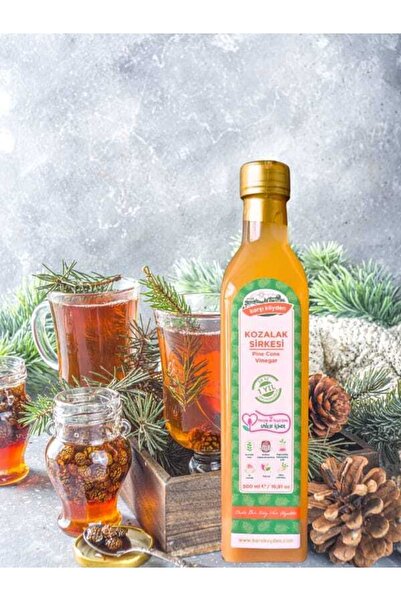 Karşı Köyden Doğal Fermantasyon Kozalak Sirkesi, Pine Cone Vinegar, 500 ml / ...