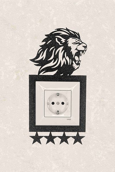 BLgrup 2148 Laser Cut Wooden Decorative Switch Socket Frame 4 Star Lion