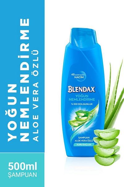 Blendax شامبو الترطيب المكثف بخلاصة الصبار - 500 مل
