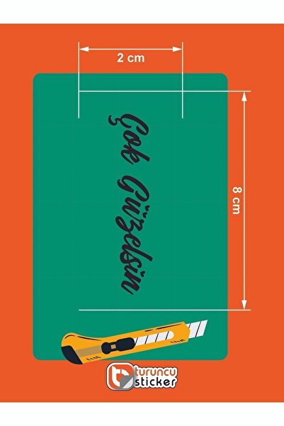 Turuncu Çok Güzelsin Araba Güneşlik Ayna Yazısı -Etiket Sticker 8x2cm
