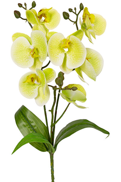 Herdekora أوركيد صناعي لمسة حقيقية أخضر 45 سم.