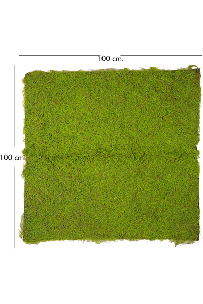 Herdekora Yapay Yosun Duvar Dekoru Tabaka Açık Yeşil 100x100 Cm.