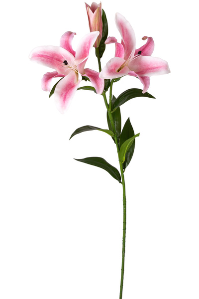 Herdekora Yapay Çiçek Zambak Pembe-Beyaz 85 Cm.