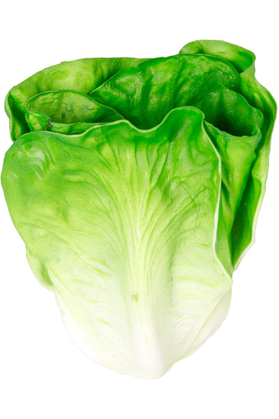 Herdekora خس صناعي أخضر 14x18 سم.