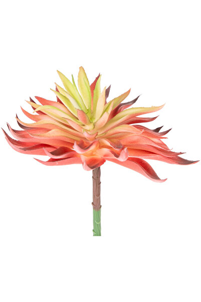 Herdekora صبار صناعي أحمر 14 سم