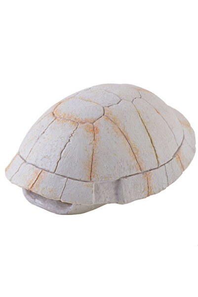 Hagen Kaplumbağa Kabuğu 462122