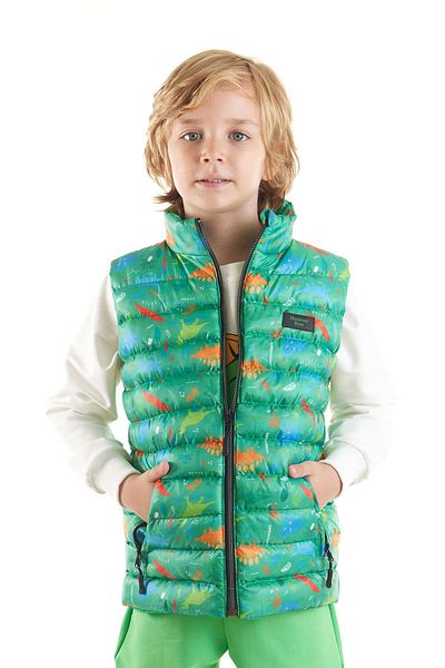 AHENGİM Boy's Dinosaur Printed Inflatable Vest - Ak 216263