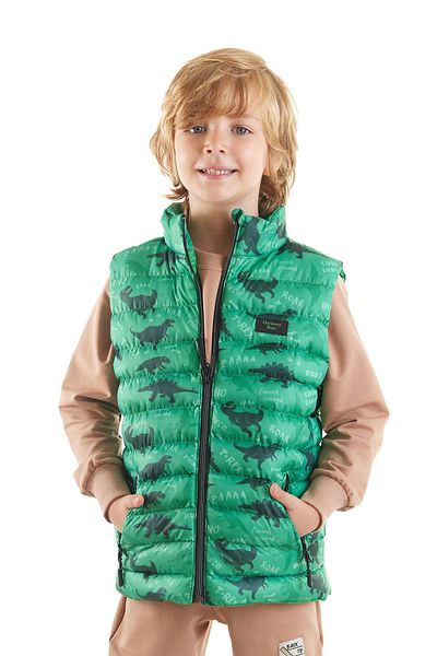 AHENGİM Boy's Dino Printed Trend Vest - Ak 216061