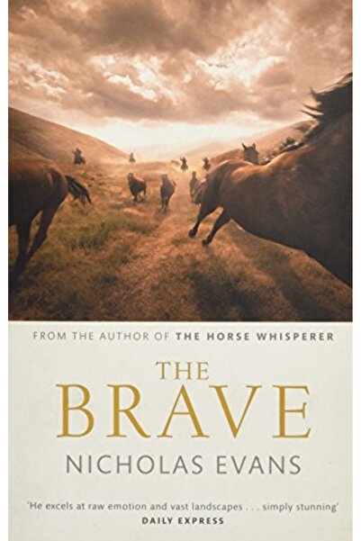 Hachette Distribution أحذية رجالية جريئة GX9688