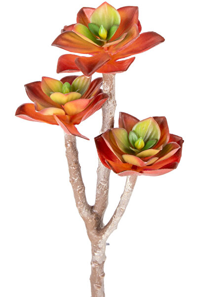 Herdekora نبتة صبار صناعية عصارية حمراء 35 سم