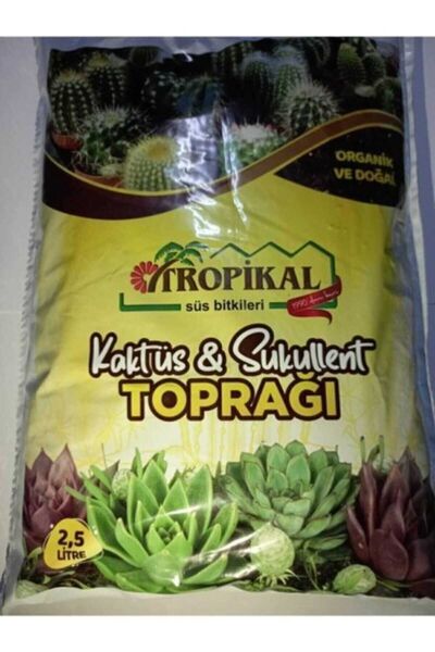 Tropical Kaktüs Ve Sukulent Toprağı