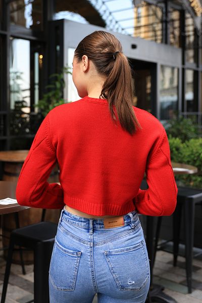 ALCHON Round Crew Neck Long Sleeve Hair Braided Winter Short Knitwear Sweater