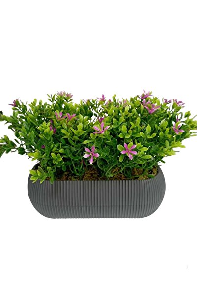 Cennet Home Yatay uzun mercan antrasit saksıda çiçekli fesleğen masaüstü mutf...