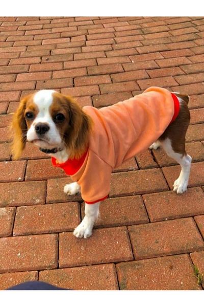 Luli Pet Bowler Fleece Cat Dog Sweatshirt