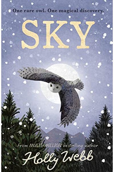Macmillan Distribution Sky individual development