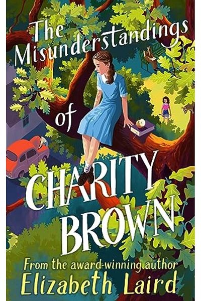 Macmillan Distribution The Misunderstandings Of Charity Brown
