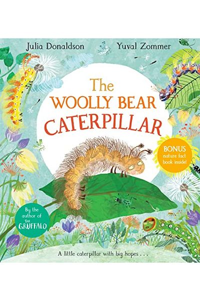 Macmillan Distribution Woolly Bear Caterpillar