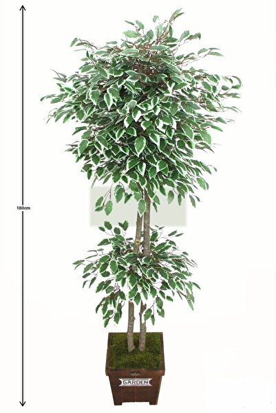 Yapay Çiçek Deposu Yapay Benjamin Ağacı Yeşil Beyaz 180 cm